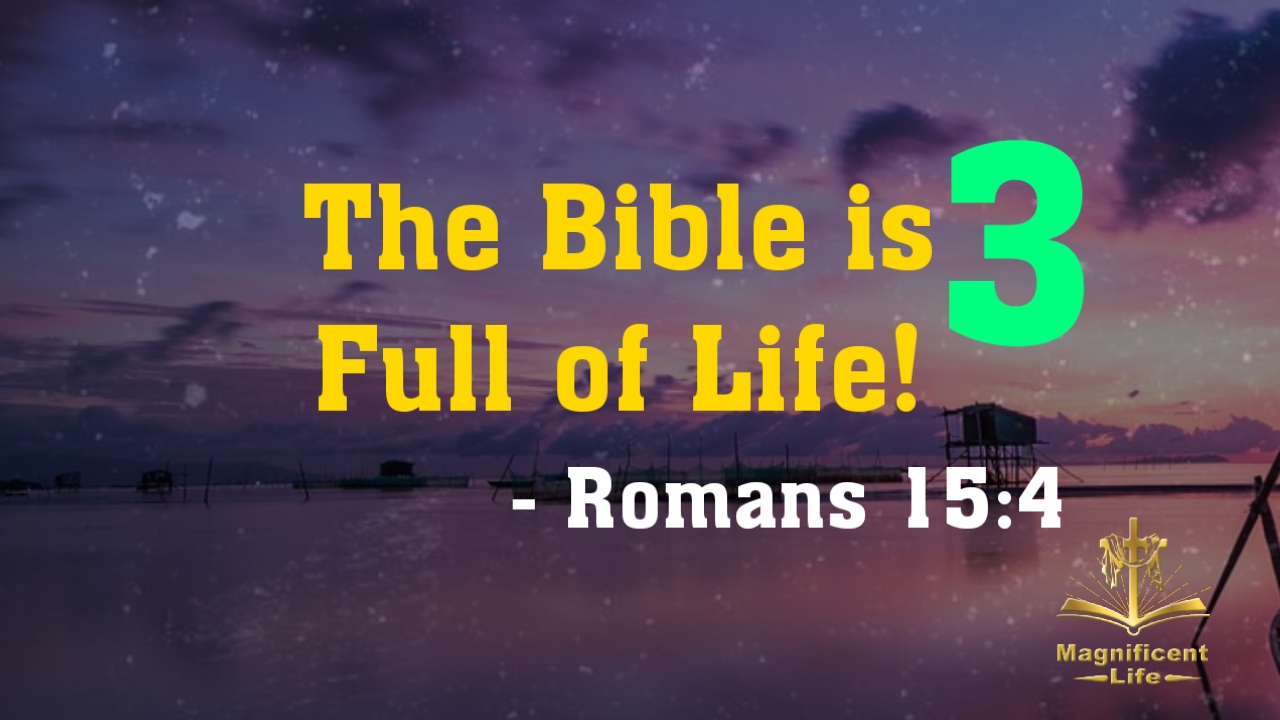 The Bible Is Full Of Life! Part Three - Maglife Daily Devotional