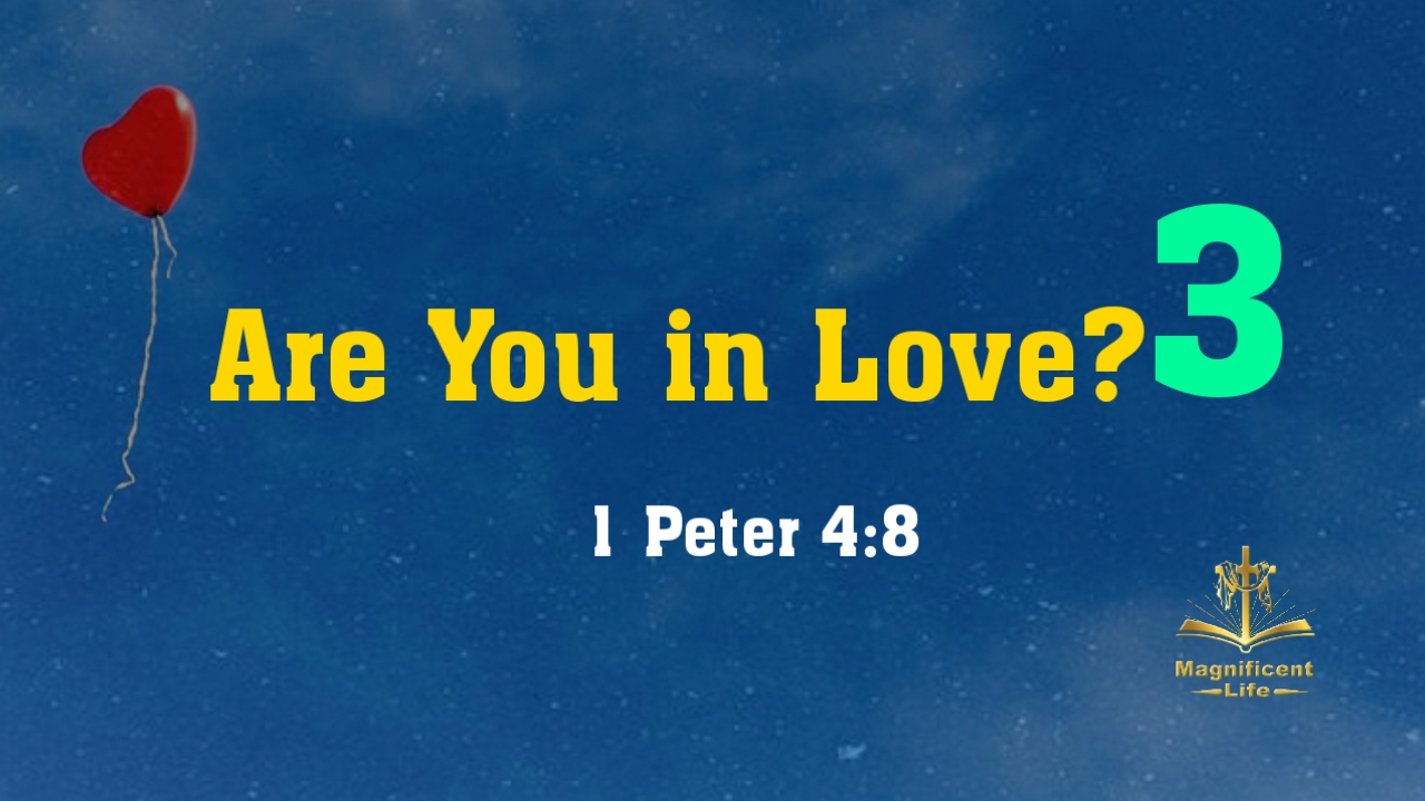 Are You In Love? Part Three - Maglife Daily Devotional